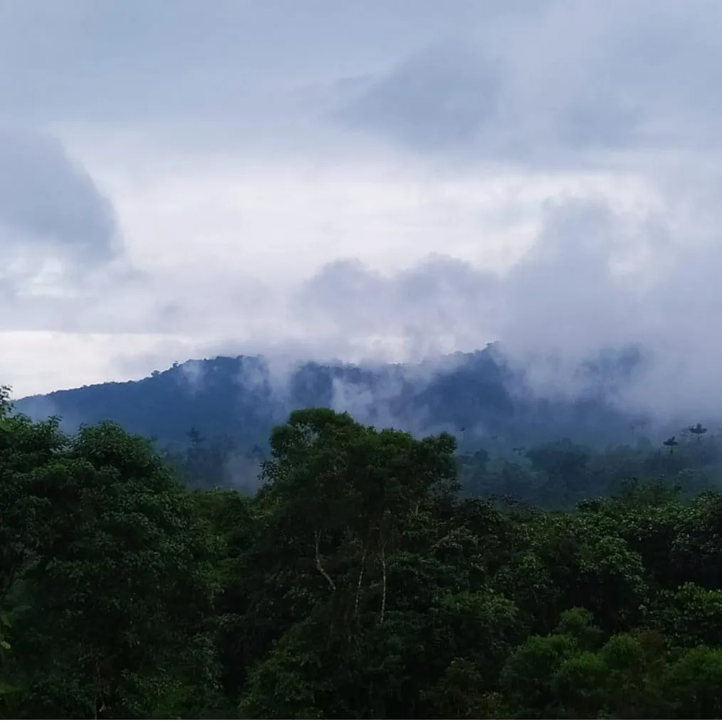 A Picture of the mountain scene in Costa Rica