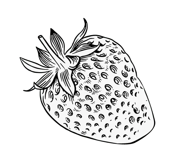 An illustration of a strawberry